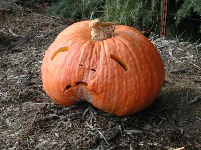 Sad Pumpkin